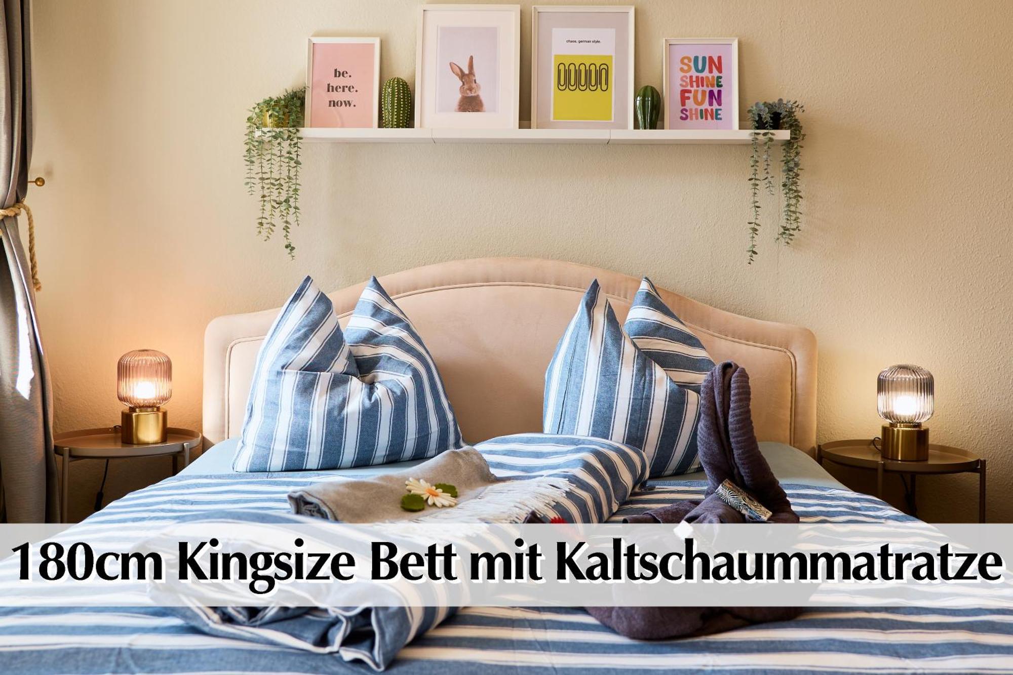 12 Fewos Im Jugendstilhaus Mit Aufzug, Terrasse, Kingsize-bett, Smart-tv, Etc * Эрфурт