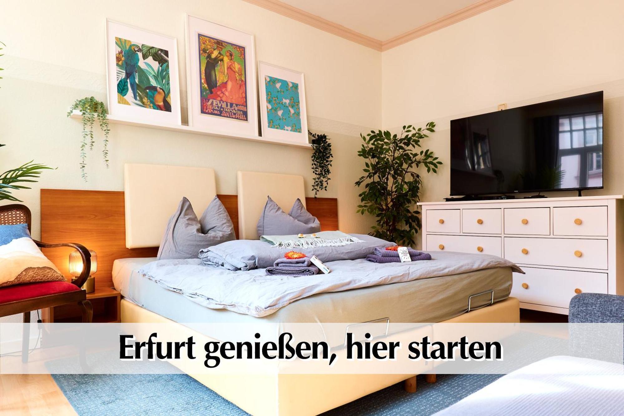 12 Fewos Im Jugendstilhaus Mit Aufzug, Terrasse, Kingsize-bett, Smart-tv, Etc Appartement