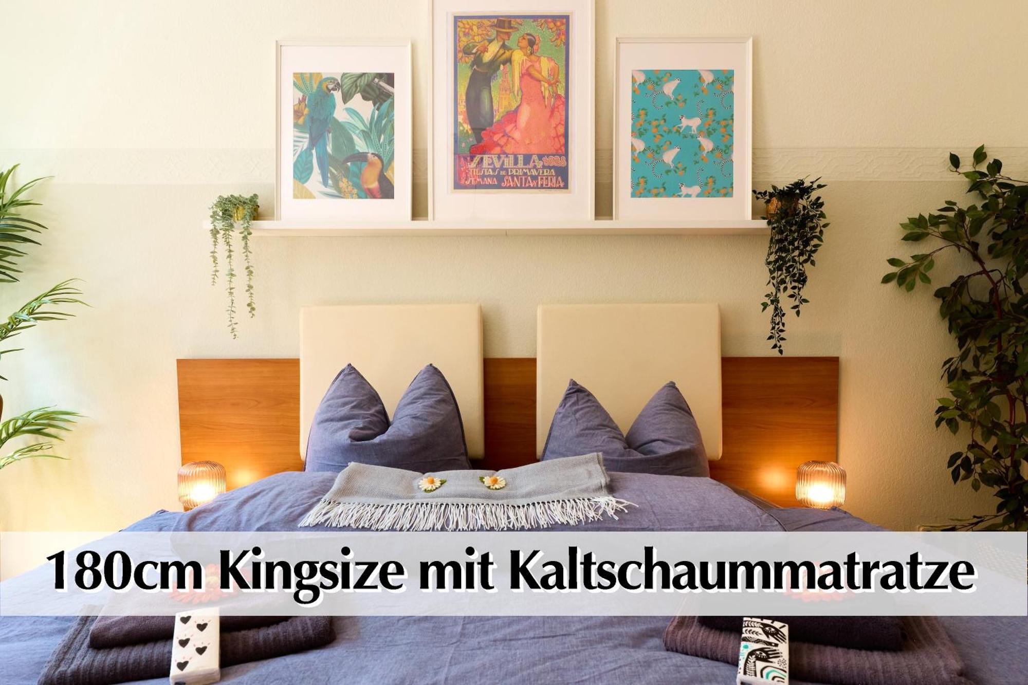 12 Fewos Im Jugendstilhaus Mit Aufzug, Terrasse, Kingsize-bett, Smart-tv, Etc Appartement